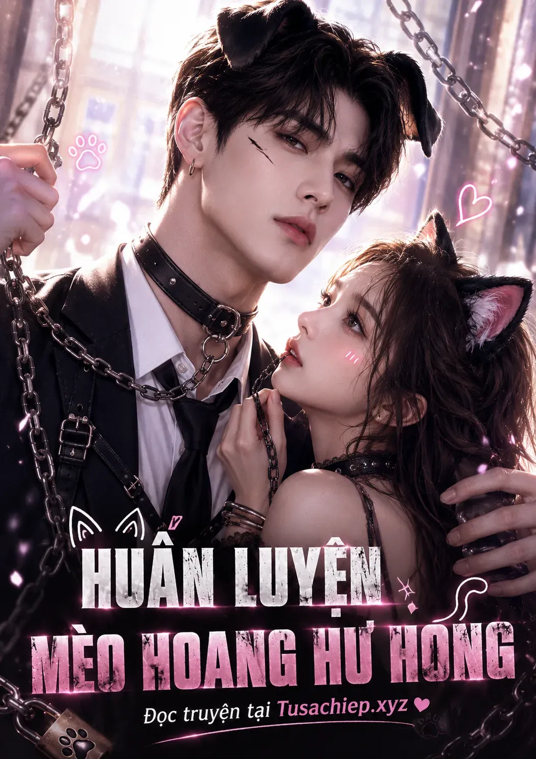 Huấn Luyện Mèo Hoang Hư Hỏng