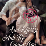 Sau Khi Bị Anh Rể Cưỡng Bức