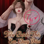 Tiểu Bạch Thỏ, Em Chạy Đâu Cho Thoát!