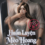 Huấn Luyện Mèo Hoang Hư Hỏng