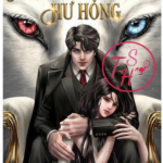 Huấn Luyện Mèo Hoang Hư Hỏng